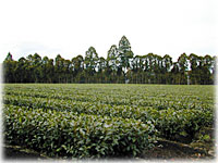 ���u����